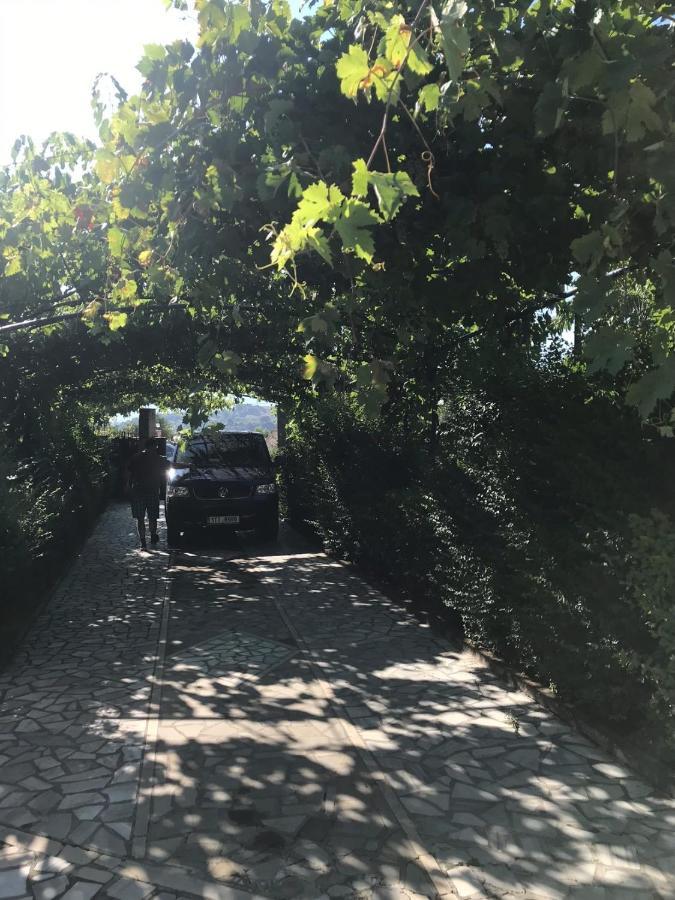 Kasaj Villa Gjirokastër Esterno foto
